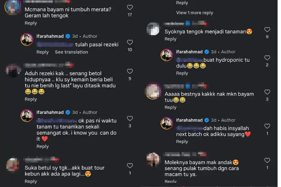 Antara komen ditinggalkan pengikutnya apabila turut berkongsi rasa teruja melihat hasil bayam yang dituai.