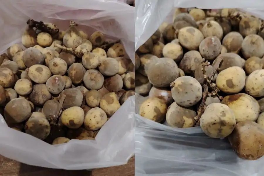 Individu ini memuat naik gambar buah dibeli ketika berkunjung ke salah satu karnival agro terbesar..