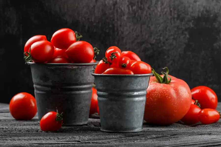 Tomato tin tidak perlu dikisar sebaliknya dipicit dan bijinya diasingkan.