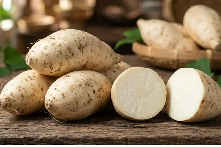 Ubi keledek putih mengandungi karbohidrat kompleks, serat, vitamin dan mineral.