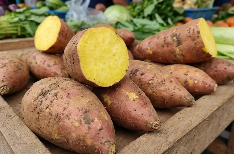 Ubi keledek kuning membekalkan karbohidrat, serat, vitamin dan mineral yang diperlukan oleh tubuh.