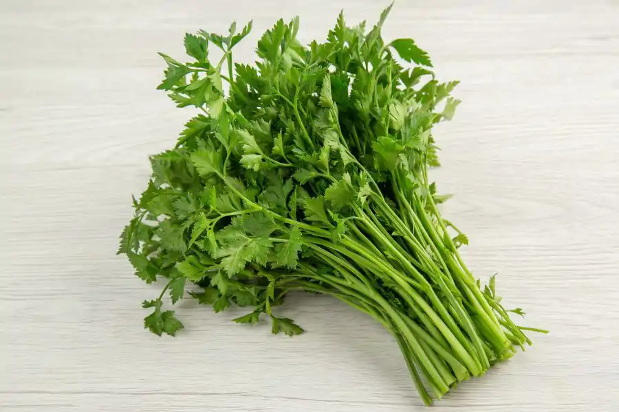 Daun sup antara bahan yang mudah layu dan cepat rosak.