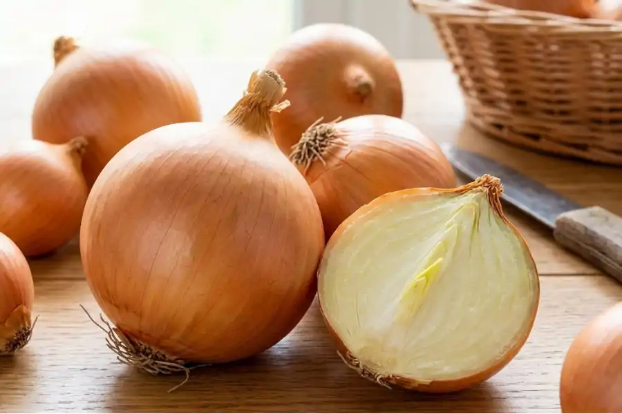Bawang besar kuning mempunyai rasa yang lebih lembut dan sedikit manis terutama selepas dimasak. 