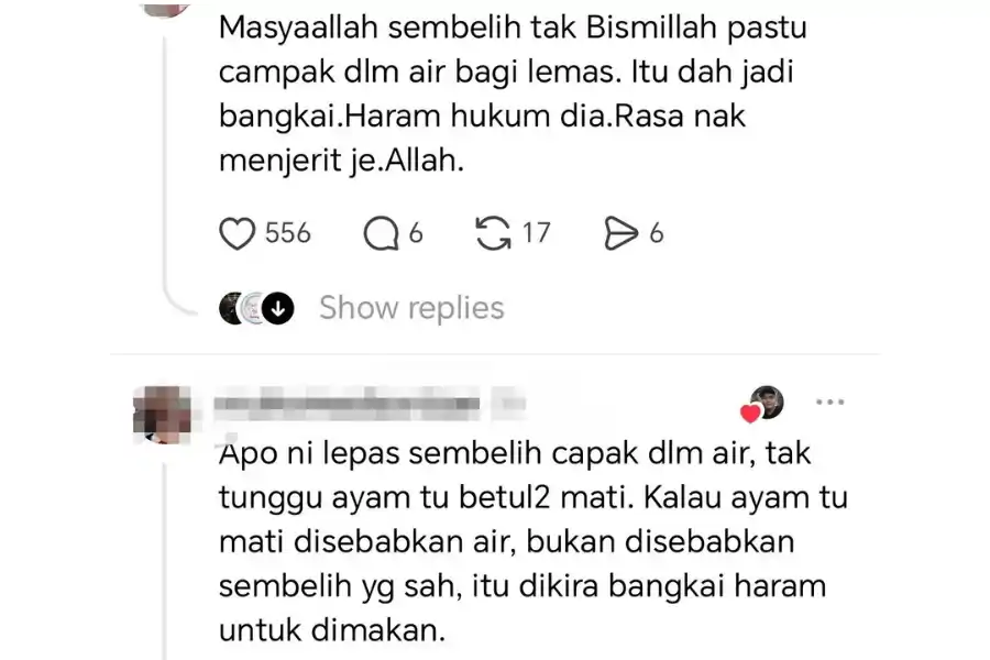 Antara komen kegusaran orang awam.