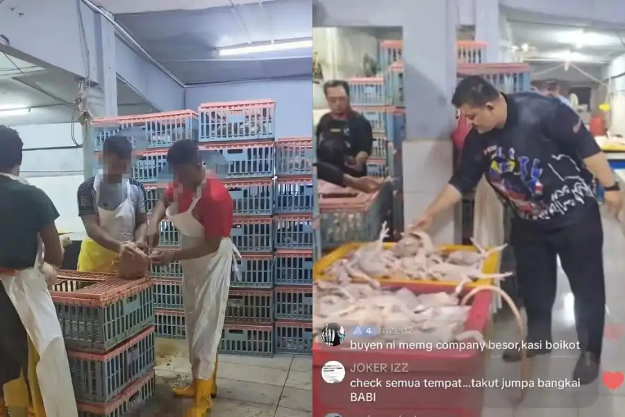 Ayam yang disembelih didakwa tidak dilakukan dengan sempurna.