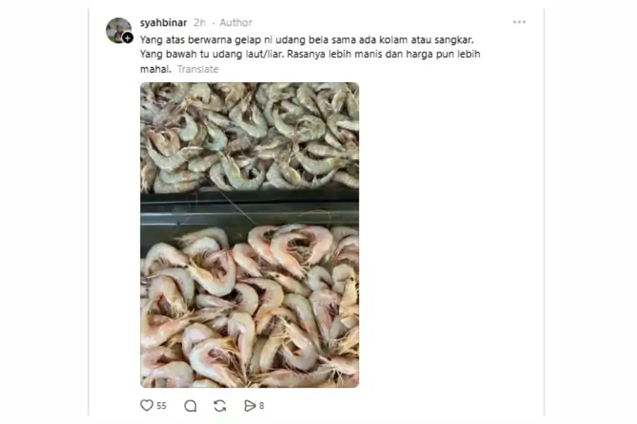 Perkongsian di laman Threads.