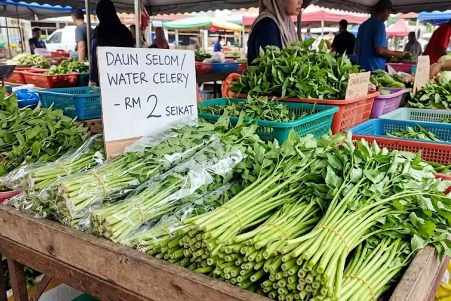 Daun selom kerap digunakan dalam masakan Pantai Timur.